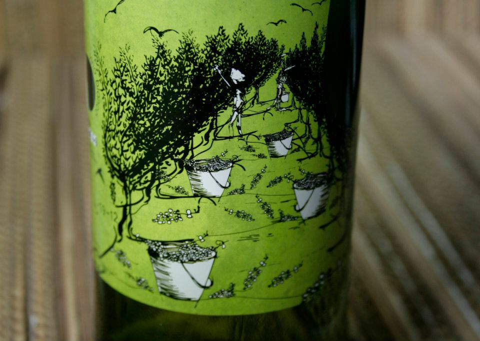 Detalle ilustración. Diseño labeling para vino blanco de las bodegas Torrevellisca-Zagromonte